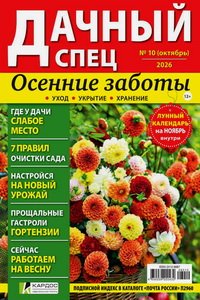Дачный спец №10 2026