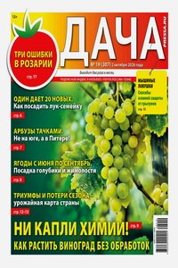 Дача №19 2026