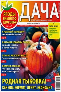 Дача №20 2026