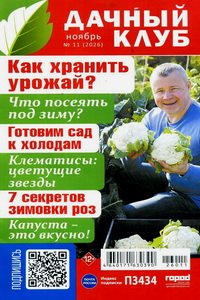 Дачный клуб №11 2026
