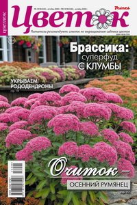 Цветок №20 2026